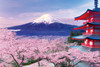 Epoch Jigsaw Puzzle 10-787 Cherry Blossom and Gojunoto in Yamanashi (1000 Pieces)