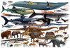 Beverly Jigsaw Puzzle 61-441 The Animal Book (Size Comparison of Large Creature) (1000 Pieces)