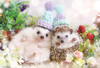 Beverly Jigsaw Puzzle P33-182 Azuki and Monaka the Hedgehog (300 Pieces)