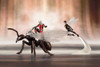 Kotobukiya MK246 ARTFX+ MARVEL UNIVERSE Astonishing Antman and Wasp 1/10 Scale Figure