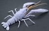 Fujimi Research Series Procambarus Clarkii / Louisiana Crawfish (White) Plastic Model