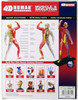 Aoshima 107140 4D Vision No.13 Human Muscles Model Non-scale Kit