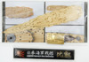 Fujimi FUNE NEXT 006 EX-102 IJN BATTLESHIP HIEI WOODEN DECK STICKERS w/Name Plate 1/700 scale kit