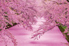 Epoch Jigsaw Puzzle 10-816 Hirosaki Park in Bloom Aomori Japan (1000 Pieces)