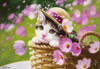 Beverly Jigsaw Puzzle Kitty Cat My Hat By Nagaoka Taku (300 Pieces)