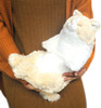 Sunlemon Plush Doll Knee Cat Sleeping (Cream)