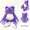 Nakajima Plush Doll Pickles The Frog Rainbow Bean Doll Sumire