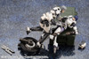 Kotobukiya Hexa Gear 1/24 Overnor Para-Pawn LAT Mirror Ver.1.5 Plastic Model