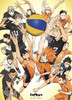 Ensky Jigsaw Puzzle Haikyu !! TO THE TOP opening !! (1000 S-Pieces)