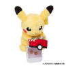 Pokemon Center Original Plush Doll Precious One Pikachu