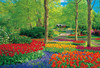 Beverly Jigsaw Puzzle Keukenhof Park in Nederland (1000 Pieces)