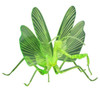Fujimi Research Series Tenodera Aridifolia Clear Green (Japanese Giant Mantis) Special Version Plastic Model