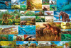 Beverly 31-505 Jigsaw Puzzle Life of Dinosaurs (1000 Pieces)