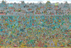 Beverly M81-731 Jigsaw Puzzle Where's Wally? Deep Sea Divers (1000 S-Pieces)