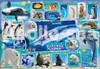 Apollo-sha 25-137 Jigsaw Puzzle Sea Animals at the Aquarium (35 Pieces) Child Puzzle