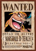 Ensky 208-071 Jigsaw Puzzle One Piece Marshall D. Teach Wanted Poster (208 Pieces)