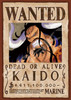Ensky 208-074 Jigsaw Puzzle One Piece Kaido Wanted Poster (208 Pieces)