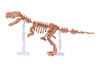 Kawada NBM-012 nanoblock T-REX Skeleton Model