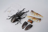 Kaiyodo Revogeo Giraffe Stag-Beetle Figure