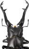 Kaiyodo Revogeo Giraffe Stag-Beetle Figure