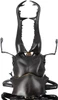 Kaiyodo Revogeo Giraffe Stag-Beetle Figure