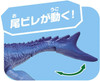 Takara Tomy Animal Adventure Mosasaurus (Floating Version) Figure