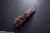 Bandai PROPLICA Special Grade Curse Sukuna Ryoumen's Finger (Jujutsu Kaisen)