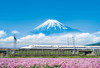 Yanoman 35-26 Jigsaw Puzzle Bullet Train and Mt.Fuji in Shizuoka Japan (500 S-Pieces)