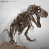 Bandai Imaginary Skeleton 1/32 Tyrannosaurus Plastic Model