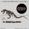 Bandai Imaginary Skeleton 1/32 Tyrannosaurus Plastic Model