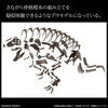 Bandai Imaginary Skeleton 1/32 Tyrannosaurus Plastic Model