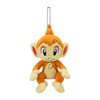 Pokemon Center Original Mascot Chimchar