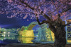 Yanoman 10-1364 Jigsaw Puzzle KAGAYA Kintaikyo Bridge Night Cherry Blossoms (Glow in the Dark) (1000 Pieces)