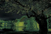 Yanoman 10-1364 Jigsaw Puzzle KAGAYA Kintaikyo Bridge Night Cherry Blossoms (Glow in the Dark) (1000 Pieces)