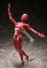 FREEing figma Human Anatomical Model