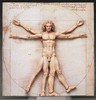 FREEing figma Vitruvian Man (The Table Museum)