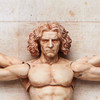 FREEing figma Vitruvian Man (The Table Museum)