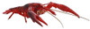 Fujimi Research Series Procambarus Clarkii / Louisiana Crawfish (Red) Plastic Model