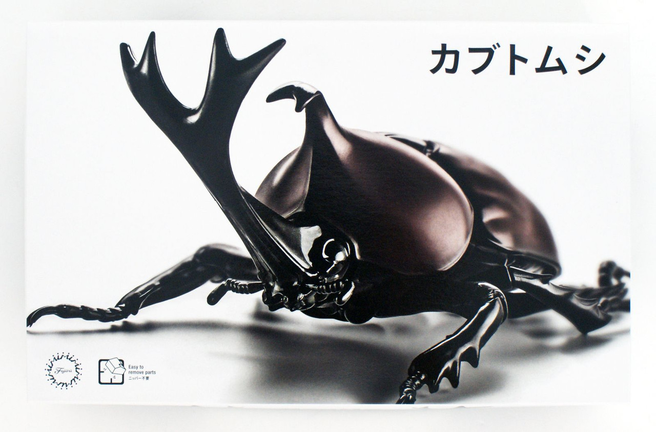 Research Series Japanese Rhinoceros Beetle Plastic Model