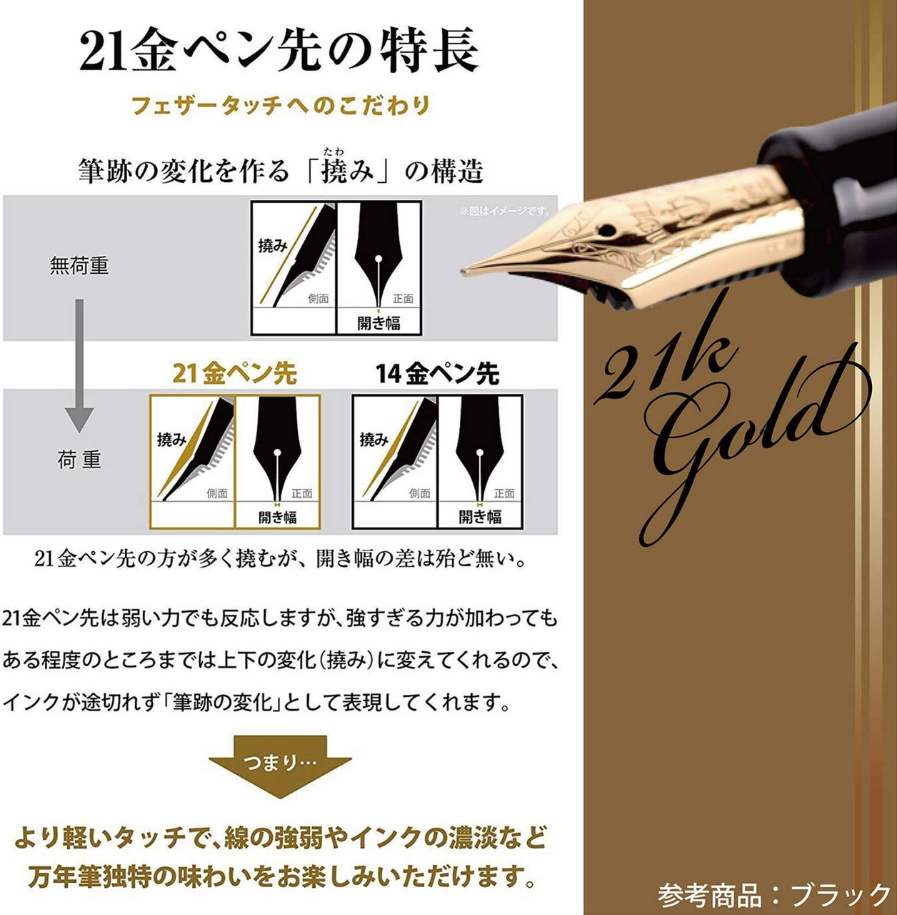 Sailor Profit Standard 21 Fountain Pen Fine Point Black Body 11-2021-220 