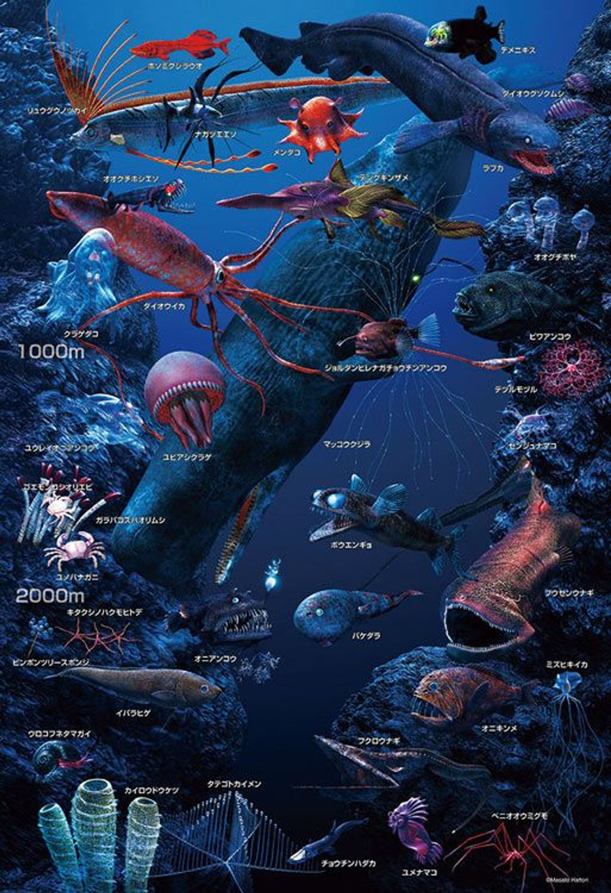 Beverly L74-191 Jigsaw Puzzle Creatures of the Deep Sea in Japanese (150  L-Pieces)