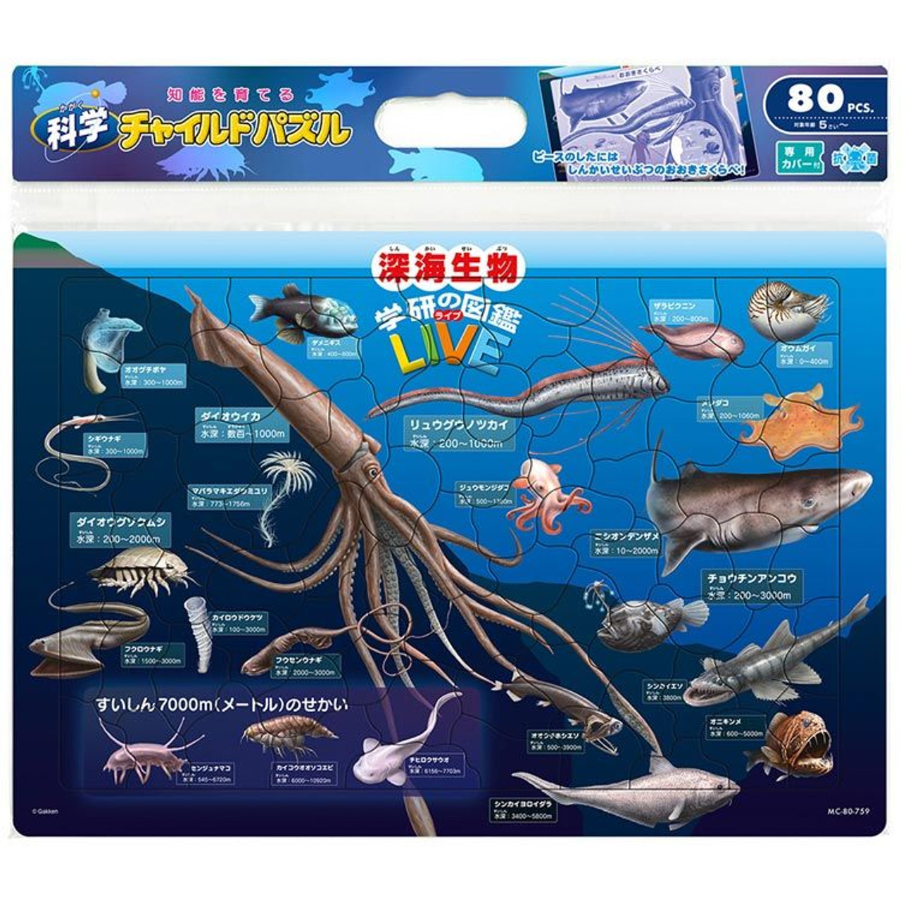 Tenyo Jigsaw Puzzle Deep Sea Creatures w/ Japanese Names (80 Pieces) Child  Puzzle