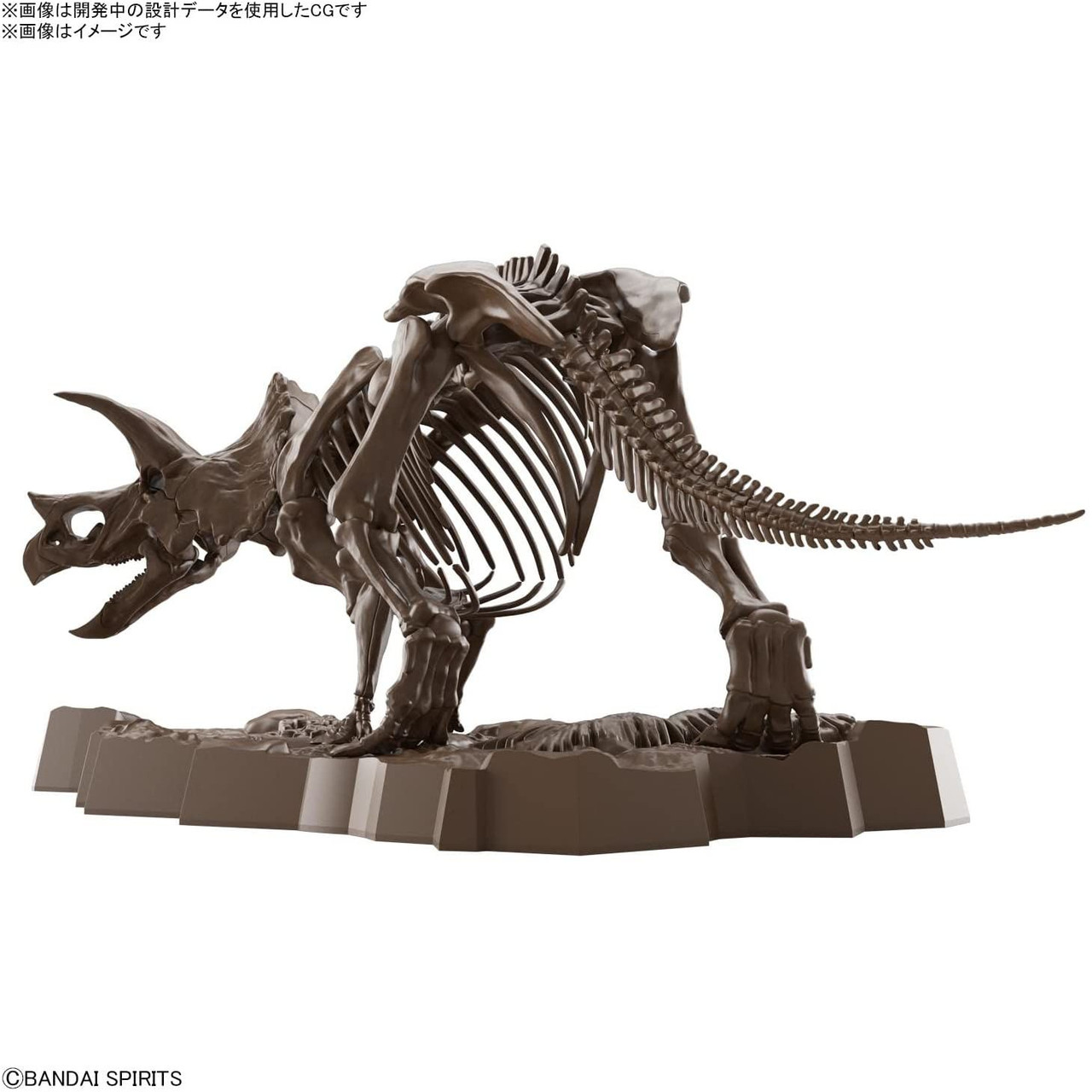 Imaginary Skeleton 1/32 Triceratops Plastic Model