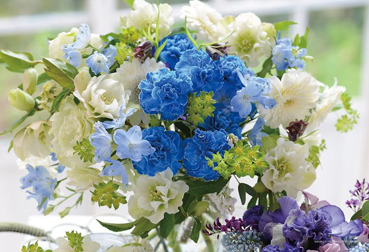 Jigsaw Puzzle Healing Dream Flowers (300 Pieces)