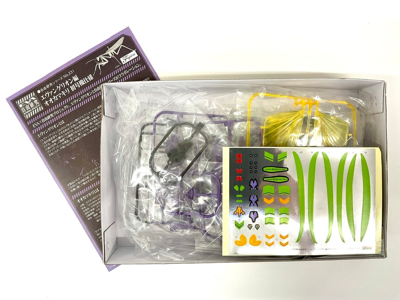 Research Series Tenodera Aridifolia (Japanese Giant Mantis