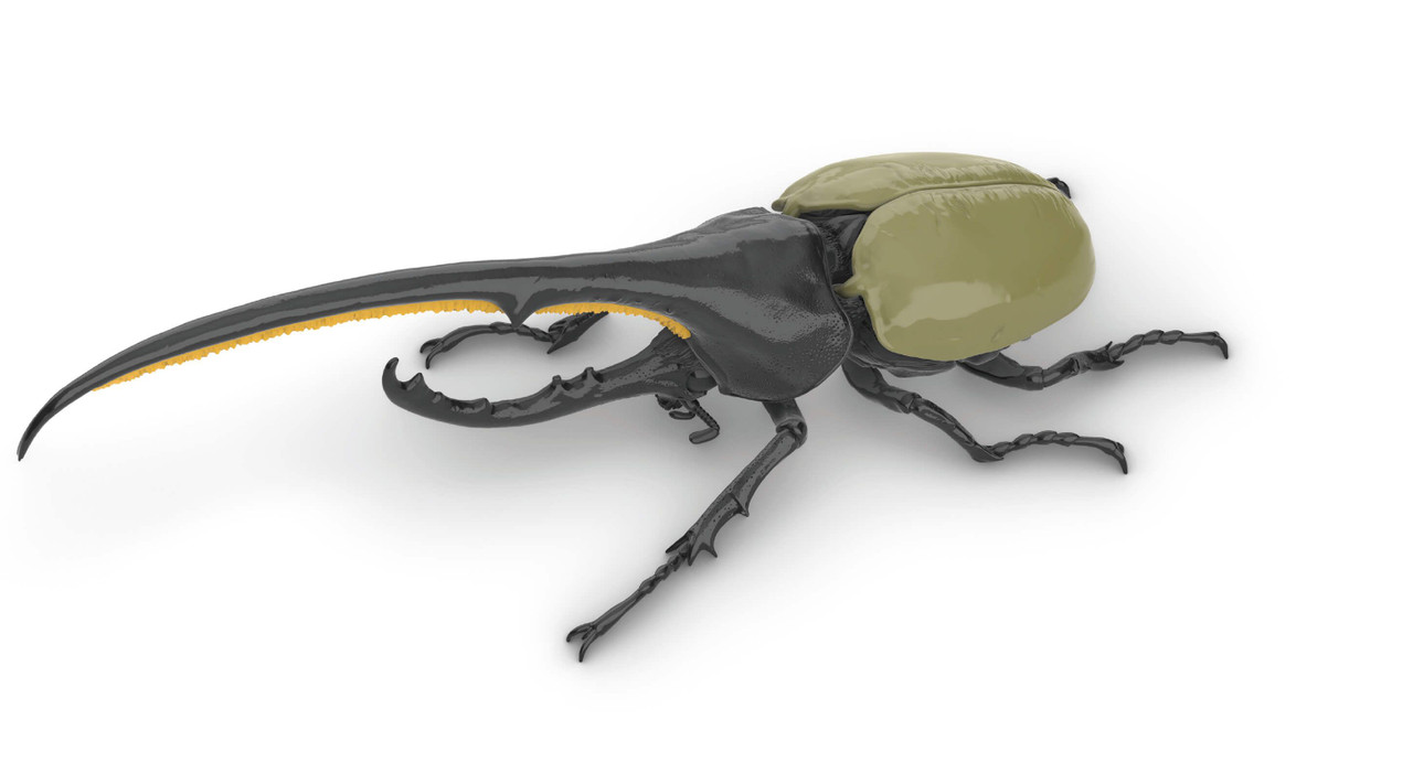 Fujimi Research Series Hercules Beetle Plastic Model