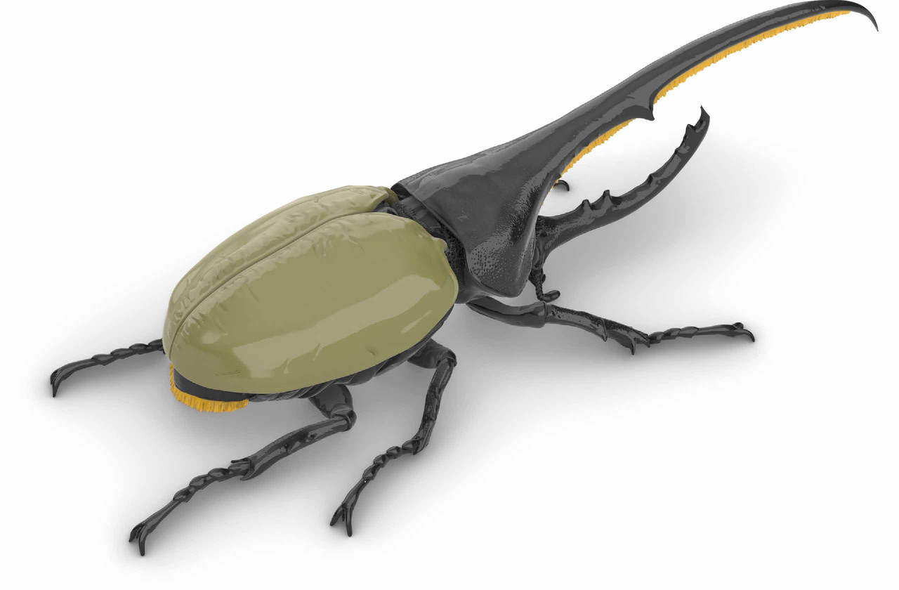 Research Series Hercules Beetle Plastic Model