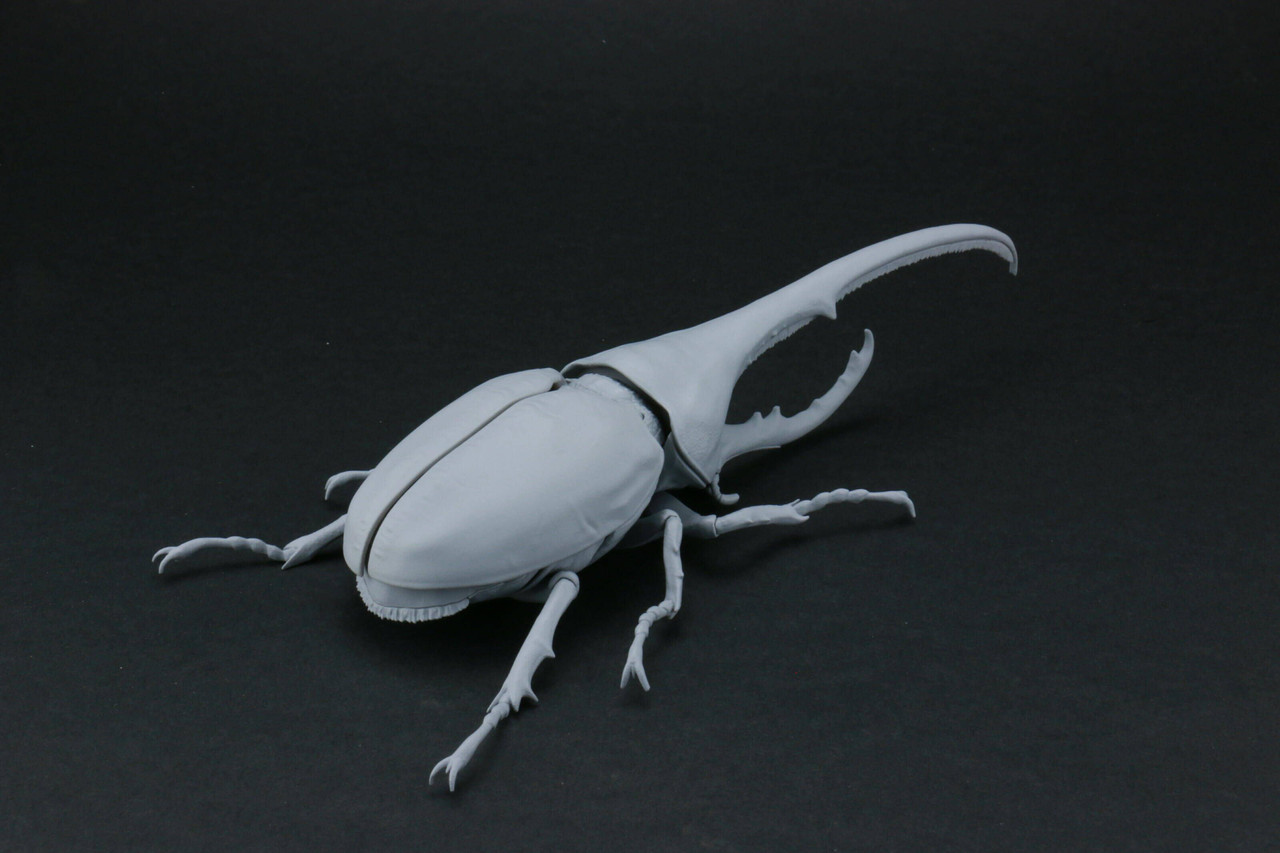 Research Series Hercules Beetle Plastic Model