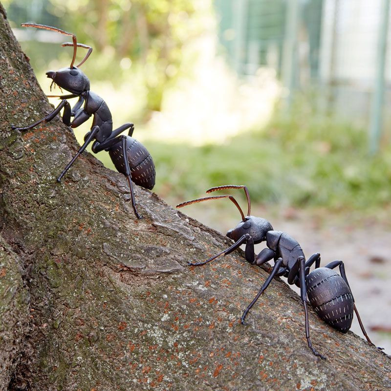 Kaiyodo Revogeo Camponotus Japonicus (Japanese Carpet Ant) Figure