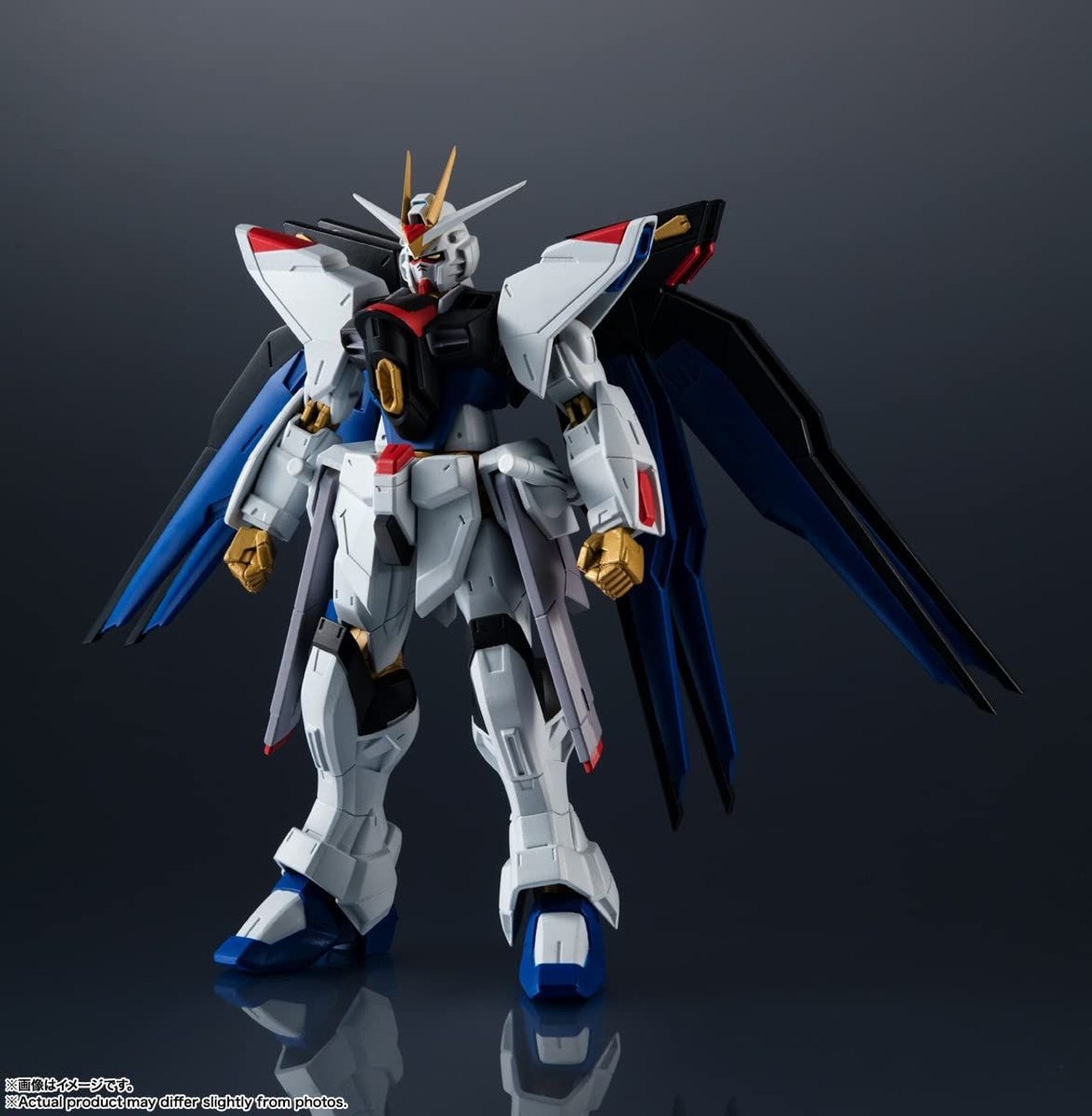 その他 ZGMF-X20A Zaku Seeker Freedom & Gundam 1/100 MG ZGMF-X20A Strike Freedom Gundam - Zeonmarket